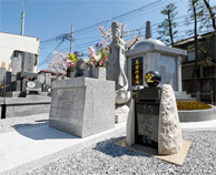 写真: